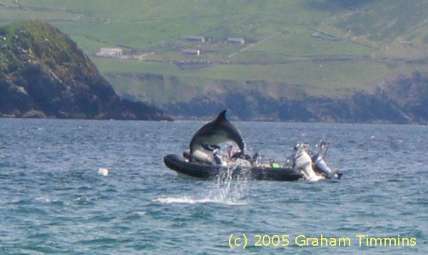 Venus jumping - sorry about the badly positioned boat!