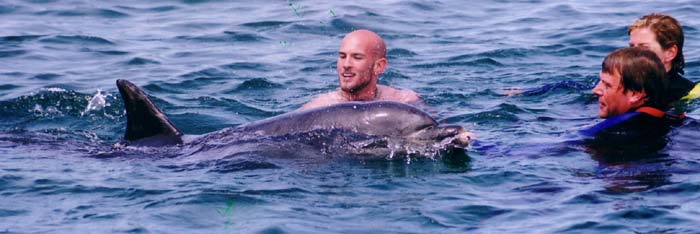 Dony off the Blasket Island, 2001