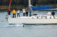 Filming dolphins (I don`t  think is Fungie but not sure).