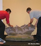 Moving the 4 dolphins out of the conference room