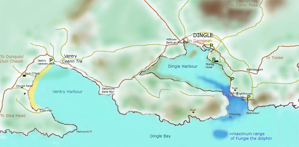 Map of Dingle Town