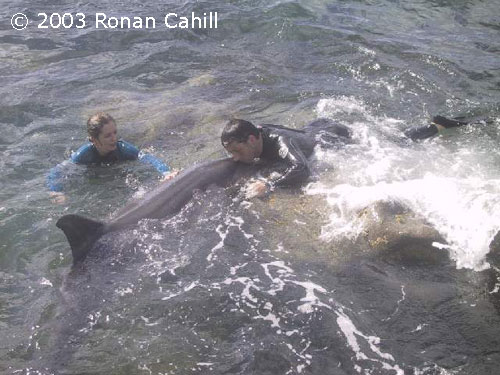 Another swimmer is not so respectful. She is butting in on a private moment, and 'coming from behind' as well!