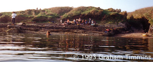 Waiting for the dolphin to come in  a typical summer evening in 1993