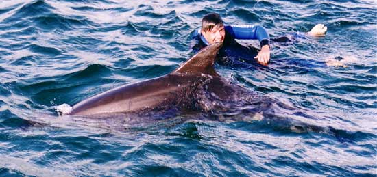 Keith swimming with Dony