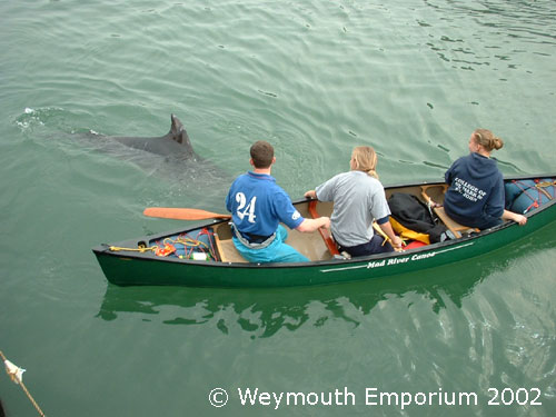 Dony alias Georges in Weymouth Harbour 3/4/02