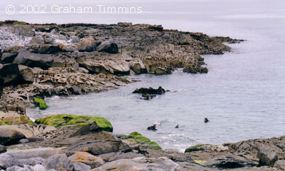 Pollenawatch cove as you approach from the 2nd cove to the north